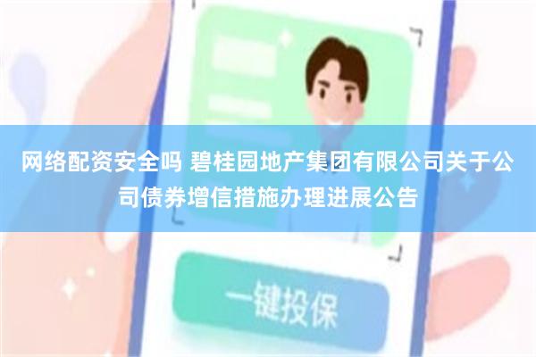 网络配资安全吗 碧桂园地产集团有限公司关于公司债券增信措施办理进展公告