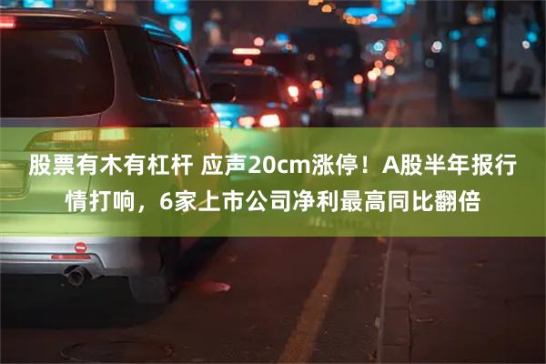 股票有木有杠杆 应声20cm涨停！A股半年报行情打响，6家上市公司净利最高同比翻倍