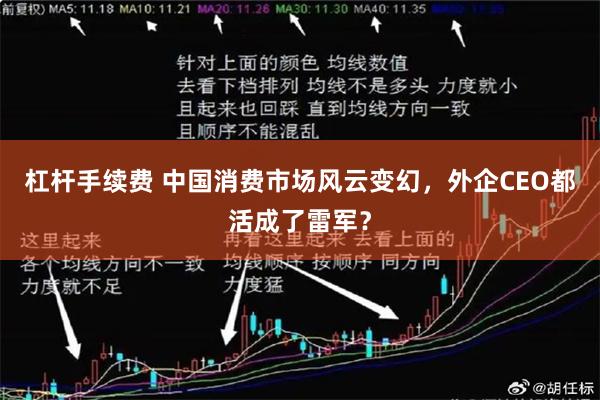 杠杆手续费 中国消费市场风云变幻，外企CEO都活成了雷军？