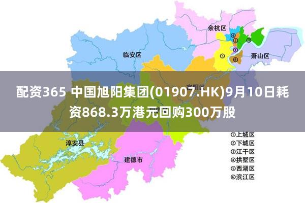 配资365 中国旭阳集团(01907.HK)9月10日耗资868.3万港元回购300万股