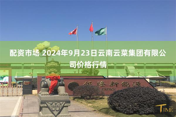 配资市场 2024年9月23日云南云菜集团有限公司价格行情