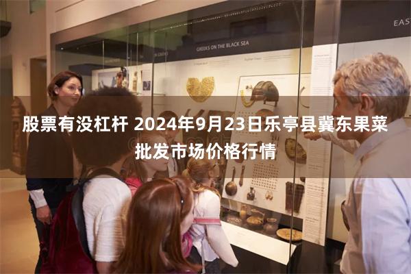 股票有没杠杆 2024年9月23日乐亭县冀东果菜批发市场价格行情