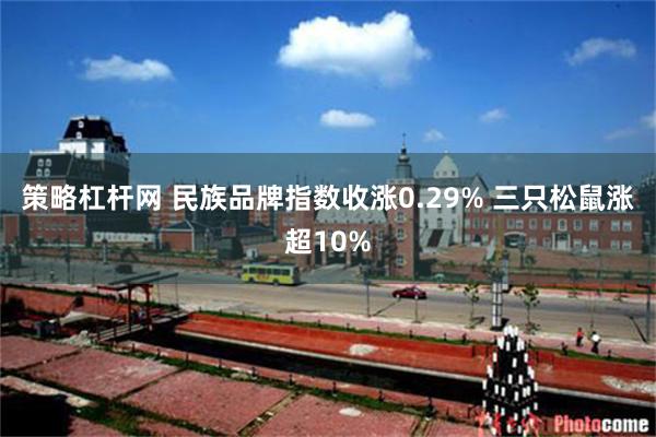 策略杠杆网 民族品牌指数收涨0.29% 三只松鼠涨超10%