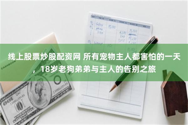 线上股票炒股配资网 所有宠物主人都害怕的一天，18岁老狗弟弟与主人的告别之旅