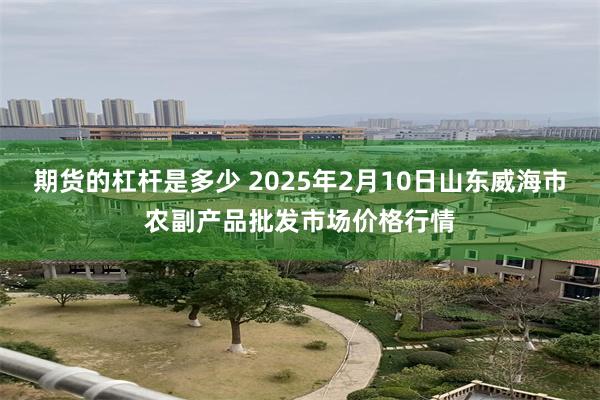 期货的杠杆是多少 2025年2月10日山东威海市农副产品批发市场价格行情