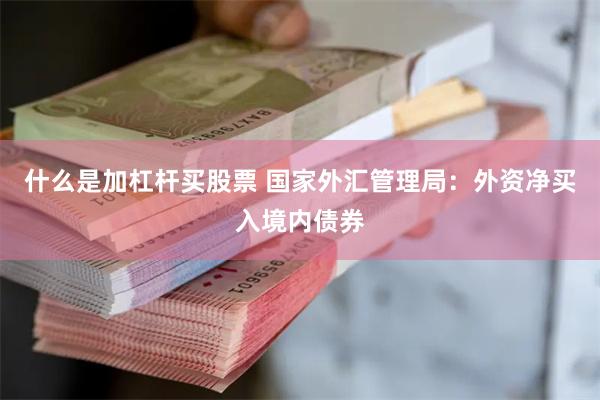 什么是加杠杆买股票 国家外汇管理局：外资净买入境内债券