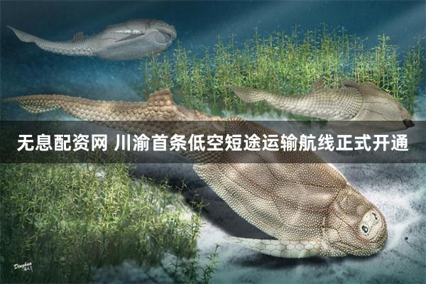 无息配资网 川渝首条低空短途运输航线正式开通