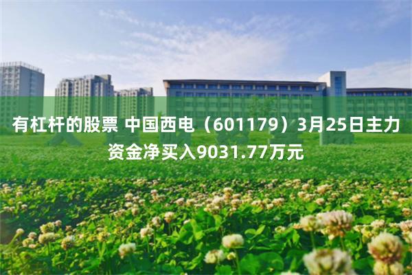 有杠杆的股票 中国西电（601179）3月25日主力资金净买入9031.77万元
